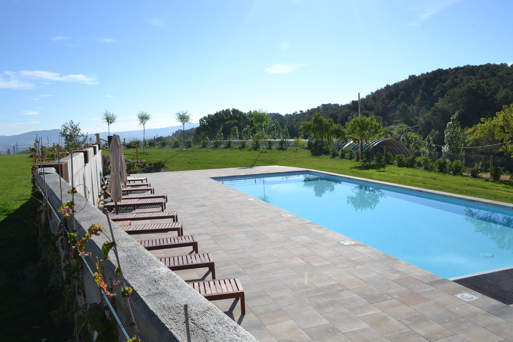 2-Llosa-vulcano-pool-home-can-alemany