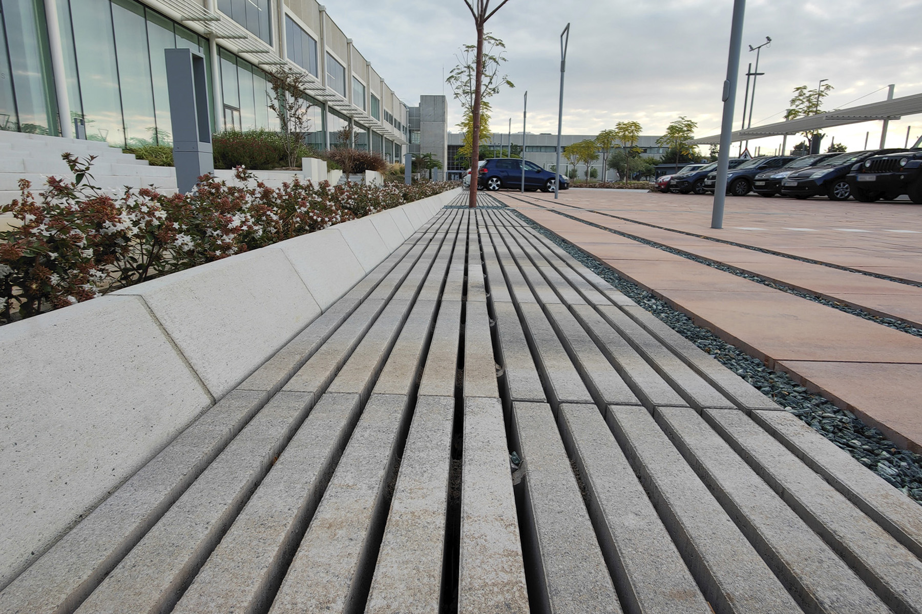 2-llosa-filtra-oysho-todera-breinco