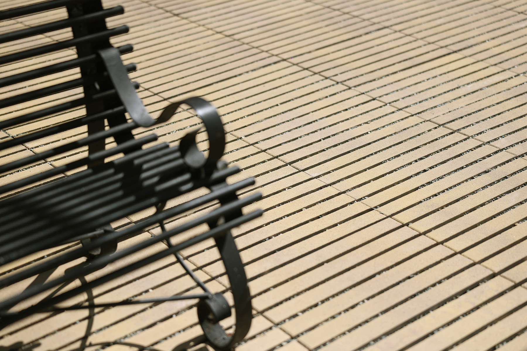 2-llosa-filtra-santo-domingo-desierto