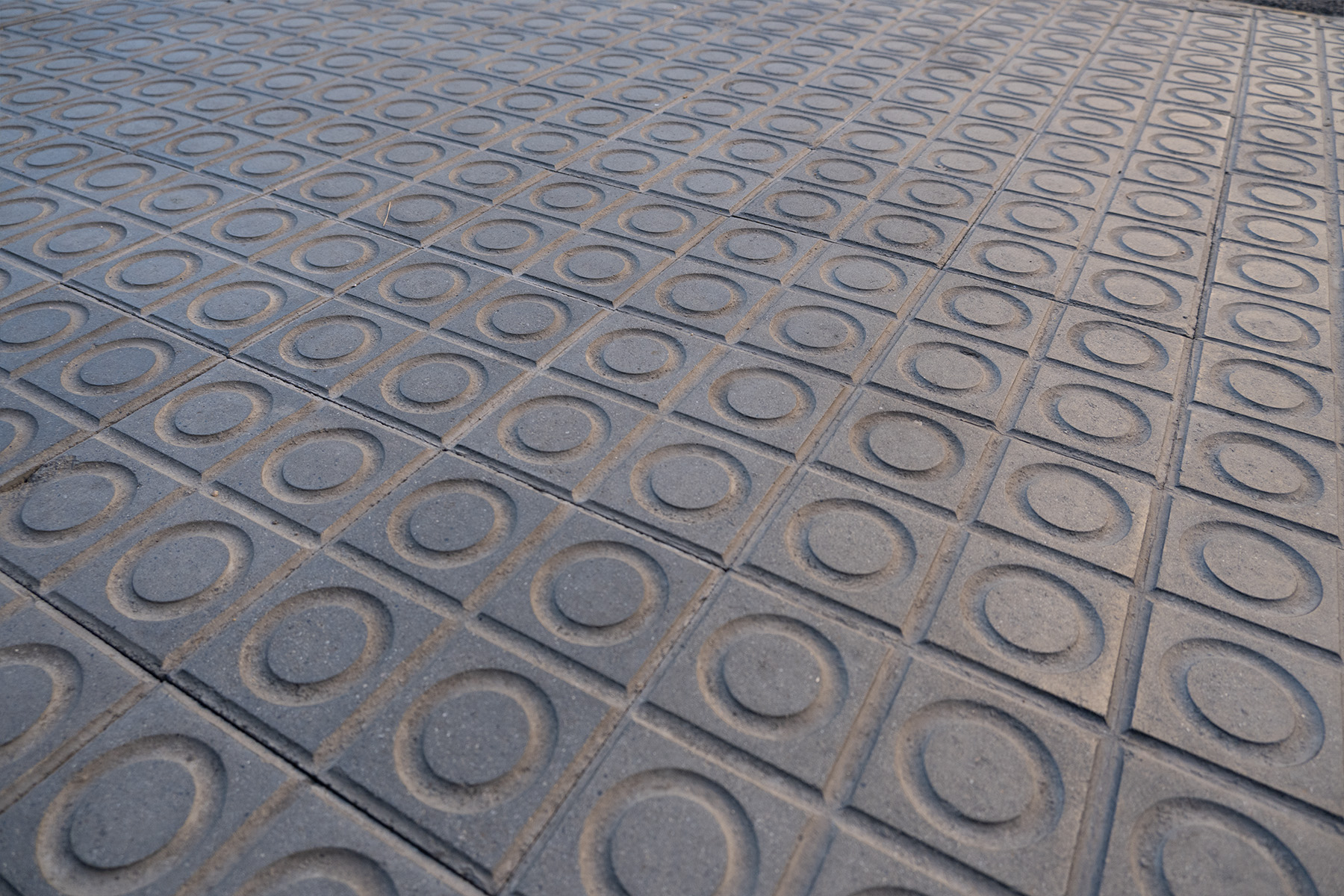 2-panot-segle-xxi-4-pastilles-turo-parc