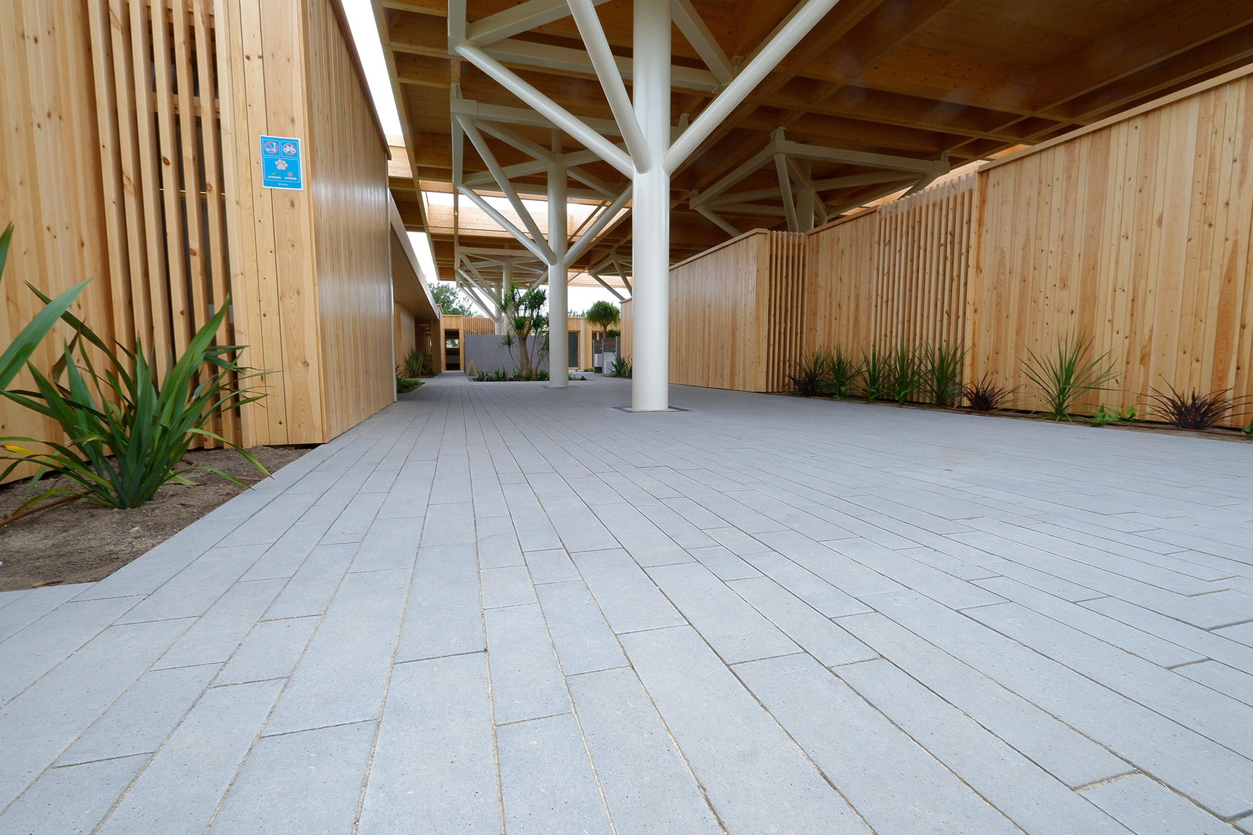 2-penta-grey-breinco-camping-sanguli