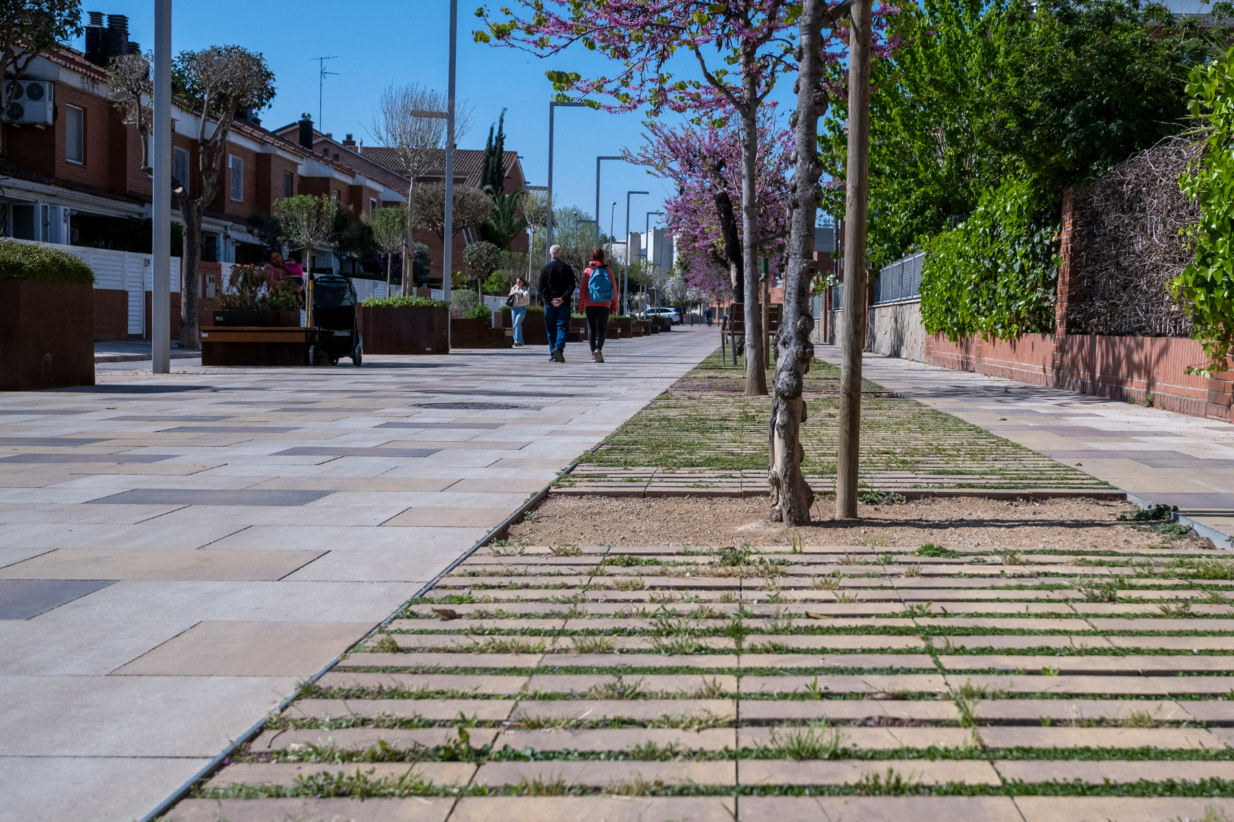 3-rasen-mohr-sant-joan-despi-barcelona-breino