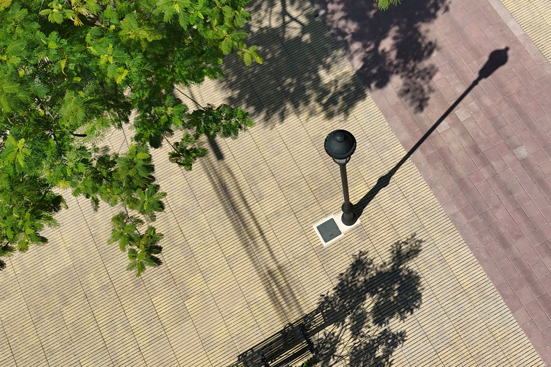 6-llosa-filtra-santo-domingo-desierto