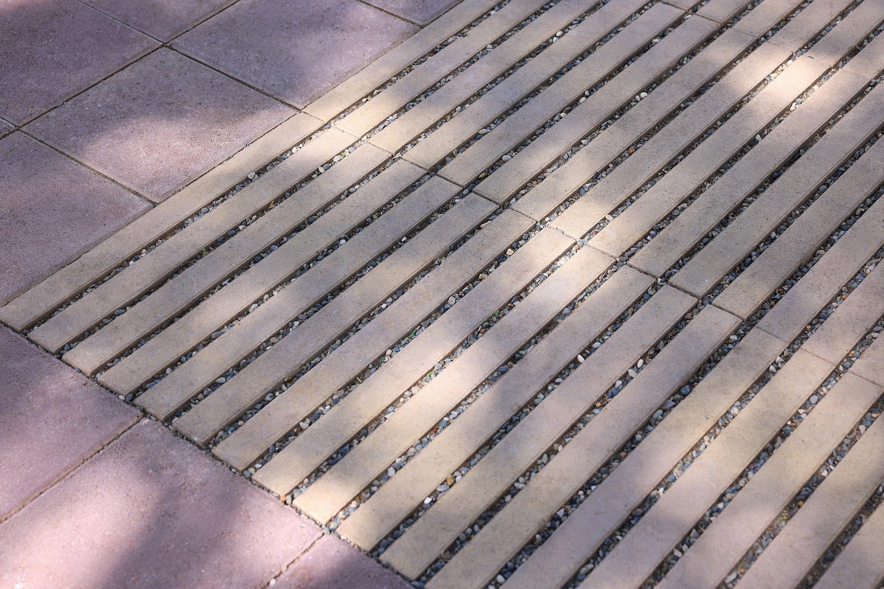 8-llosa-filtra-santo-domingo-desierto