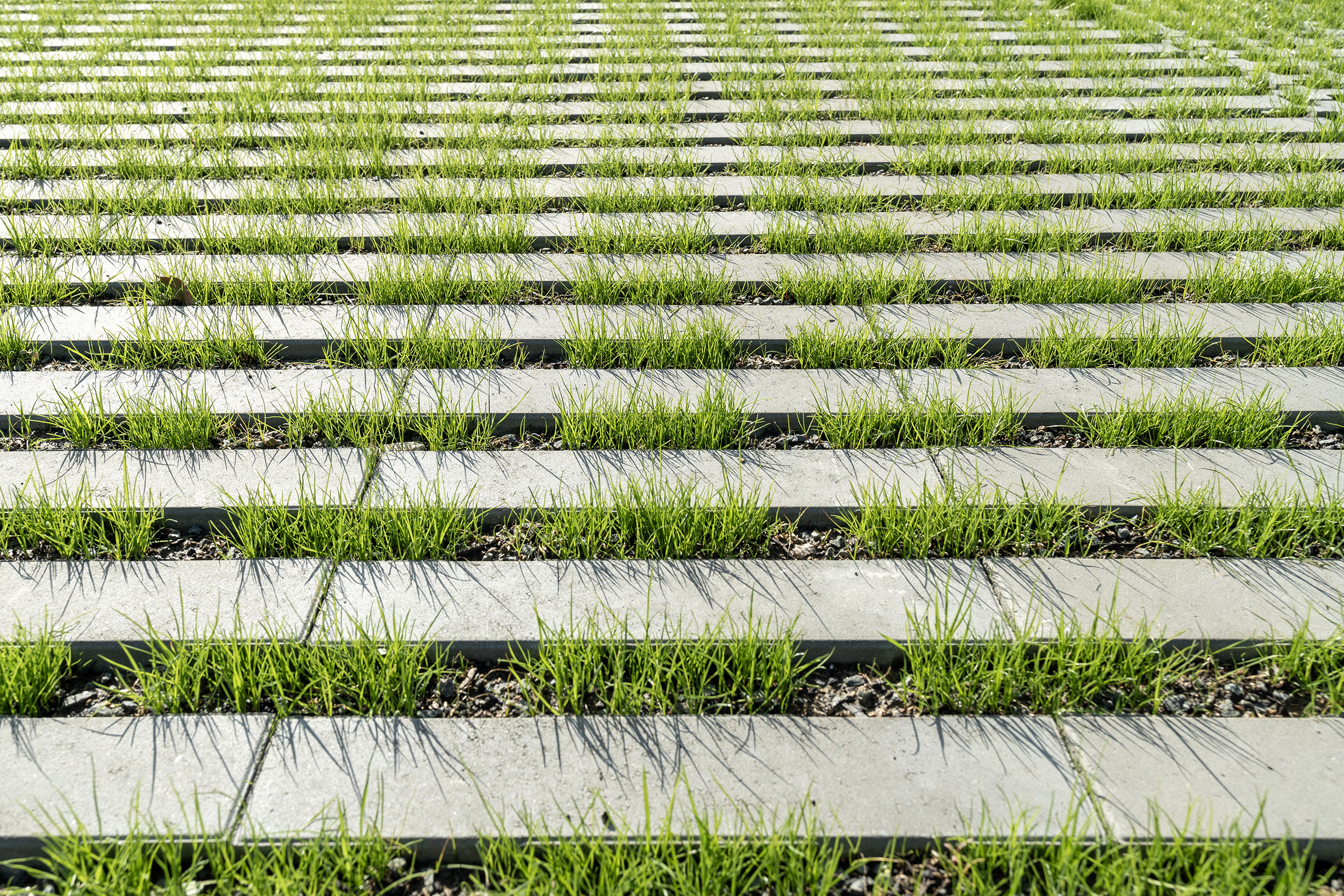 Breinco parking comedores UNAV (7)