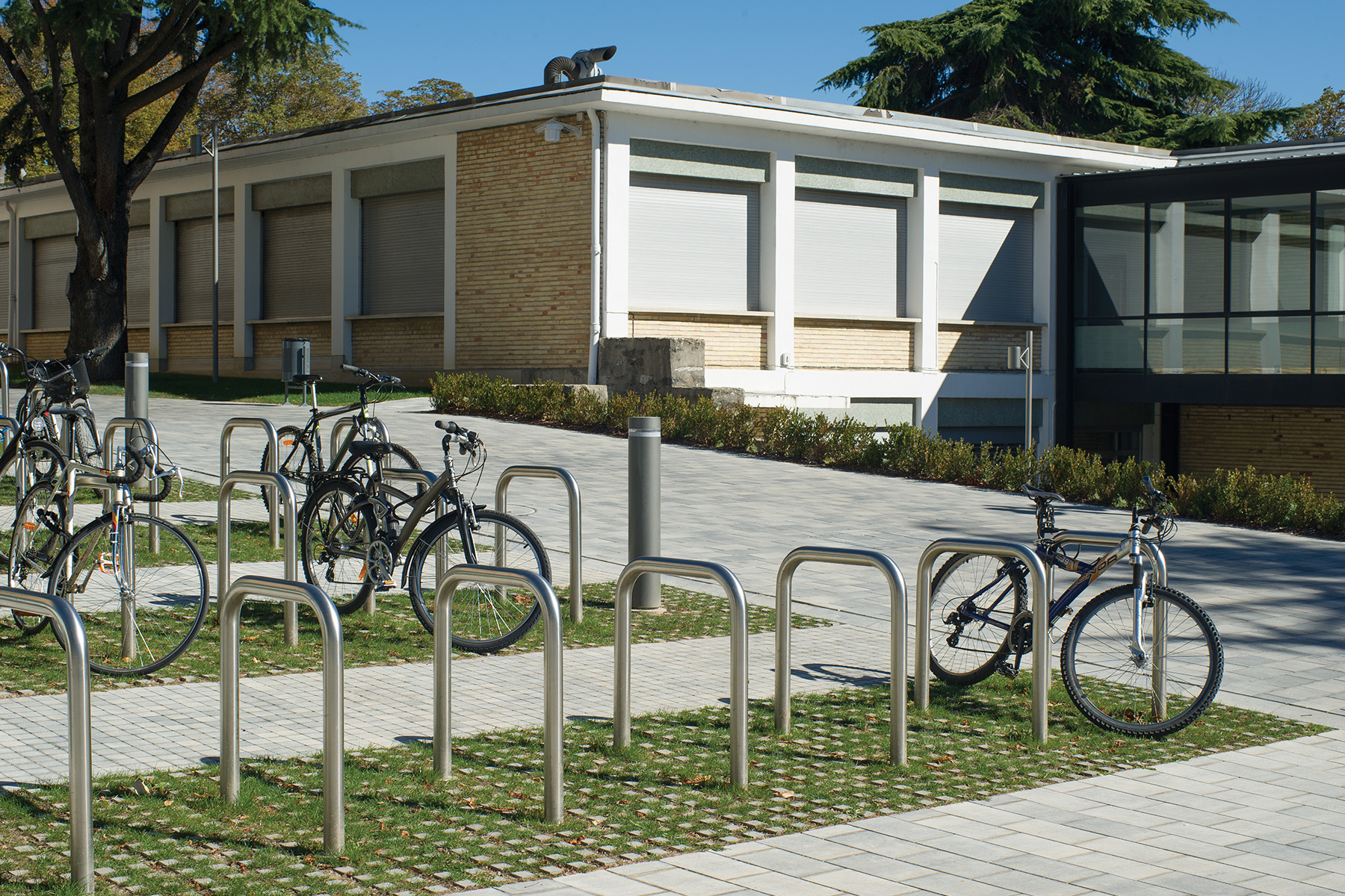 Llosa-illa-contract-ceniza-universidad-pamplona