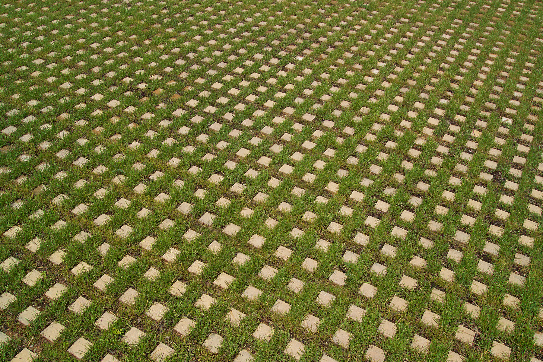 Llosa-illa-detail-desierto-cugat-sant-cugat