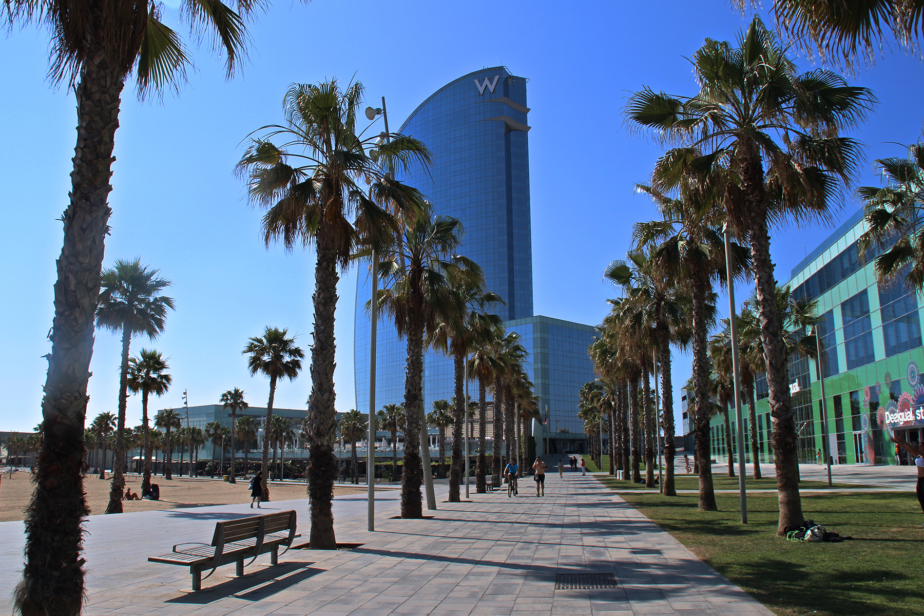 Llosa-vulcano-port-ceniza-bcn-hotelw