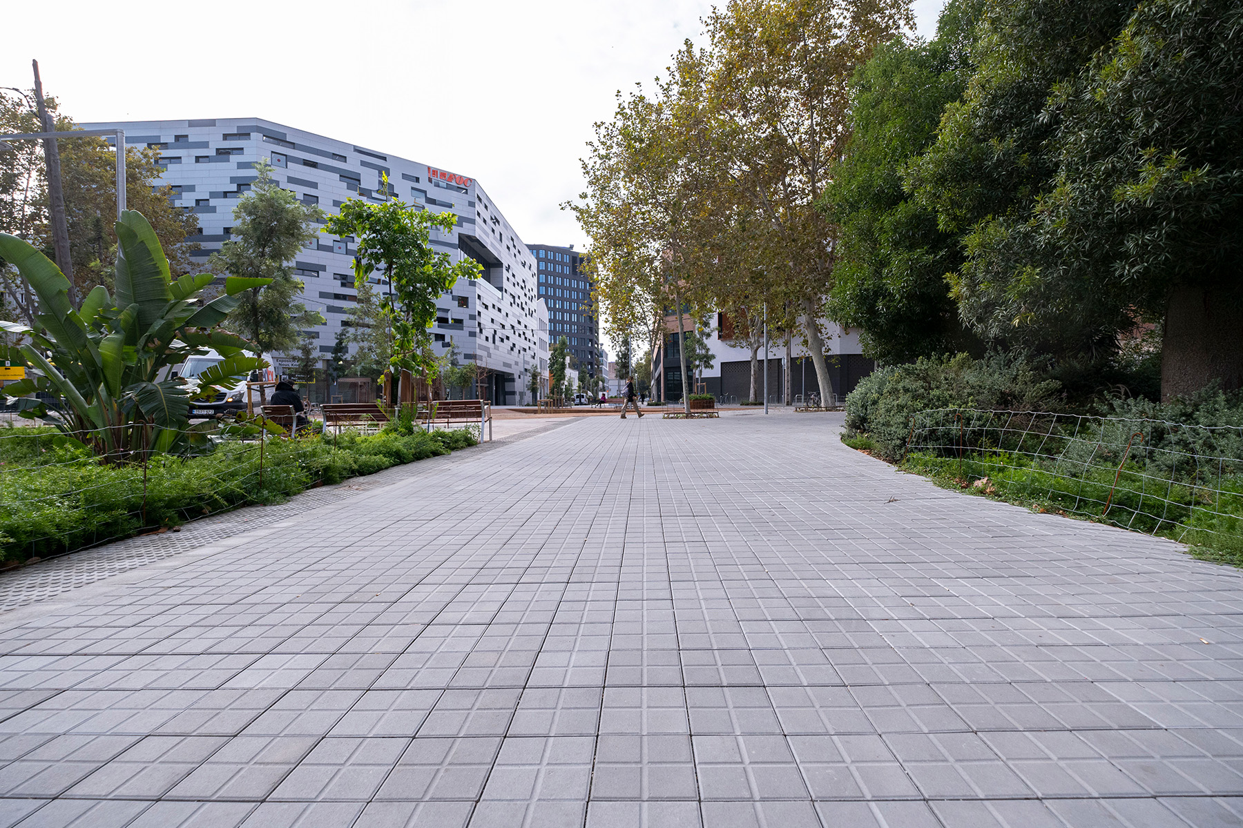 Panot-S.XXI-4-pastillas-VS4-carrer-almogavers-bcn