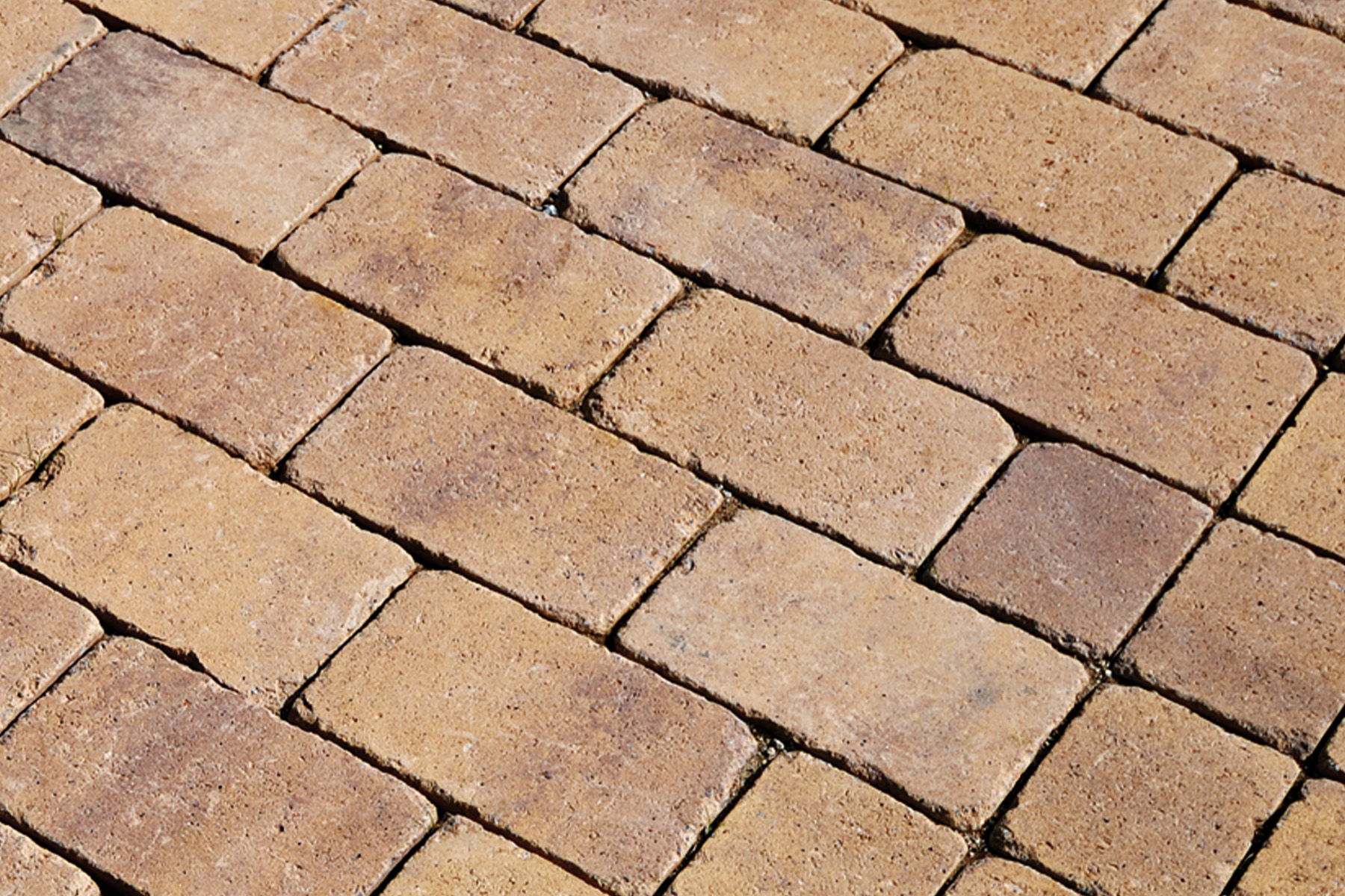 Tegula-contract-desierto-Real-Club-Tenis-bcn-park-detail