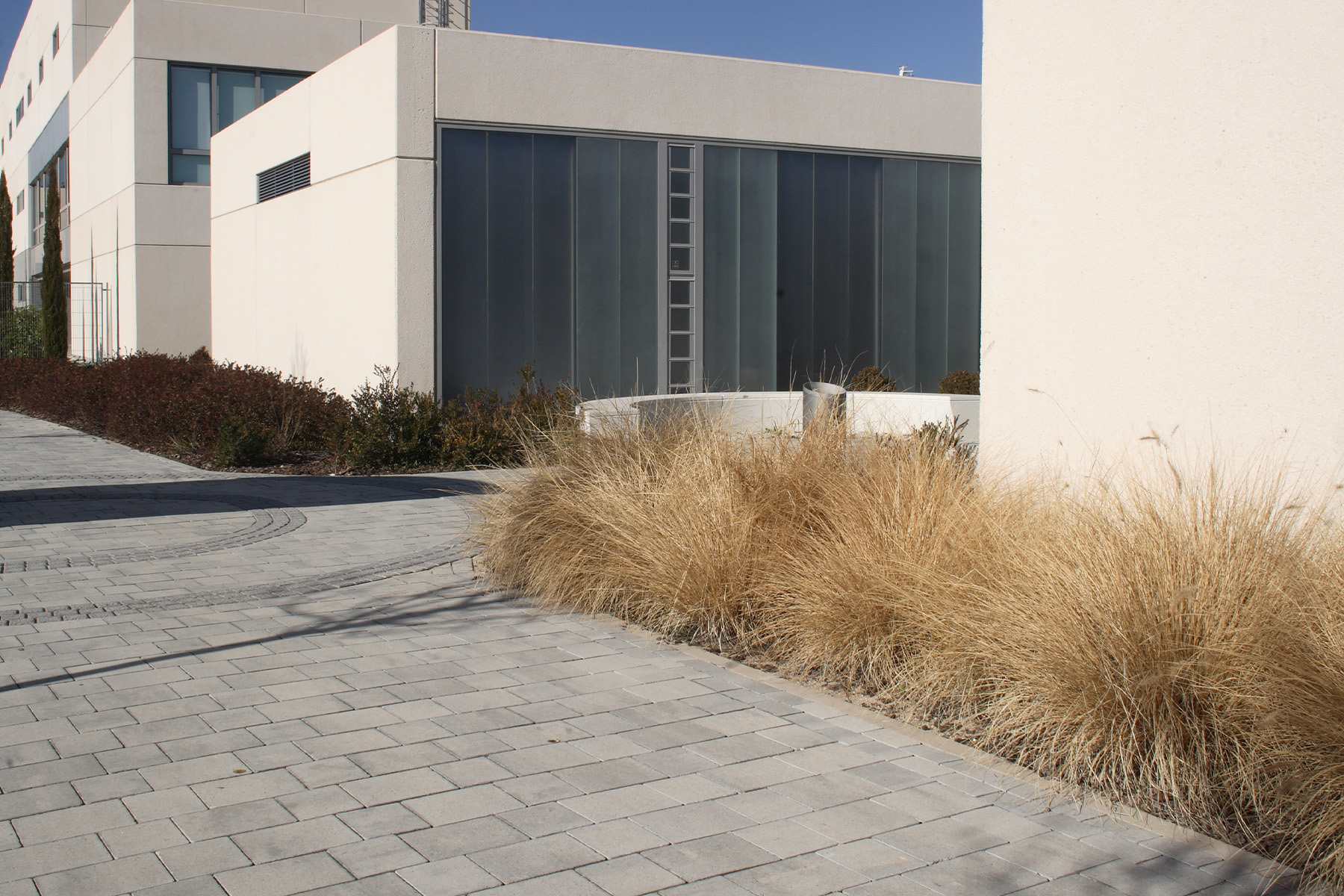 Terana-art-contract-ceniza-ciudad-deportiva-real-madrid-detail