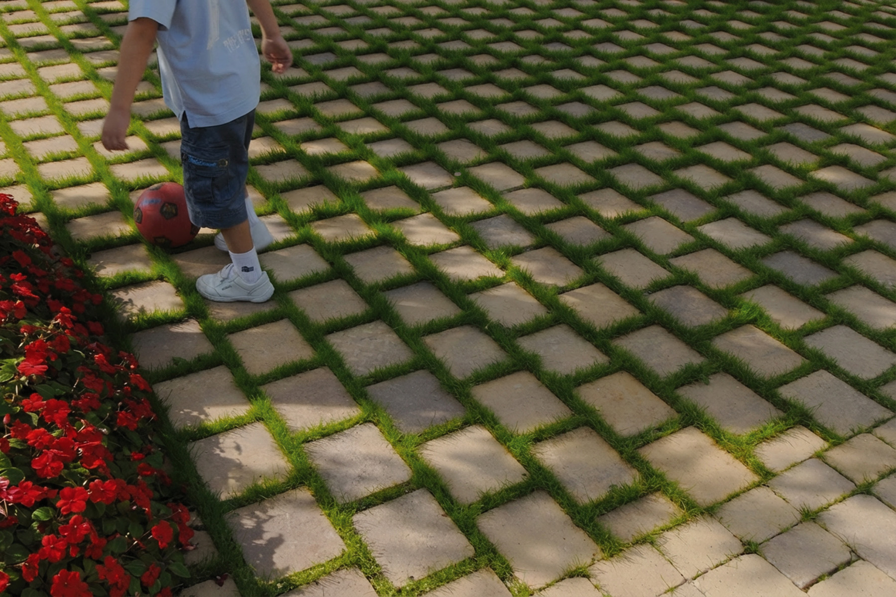 Terana-green-contract-desierto-Real-Club-Tenis-bcn