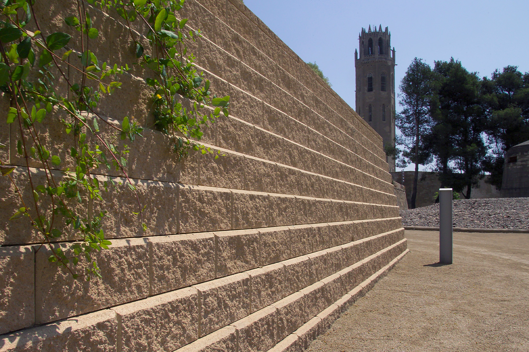 camps-elisis-lleida-4