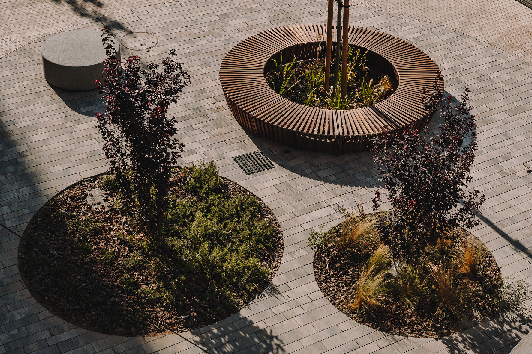 intercambiador-de-elche-españa-2