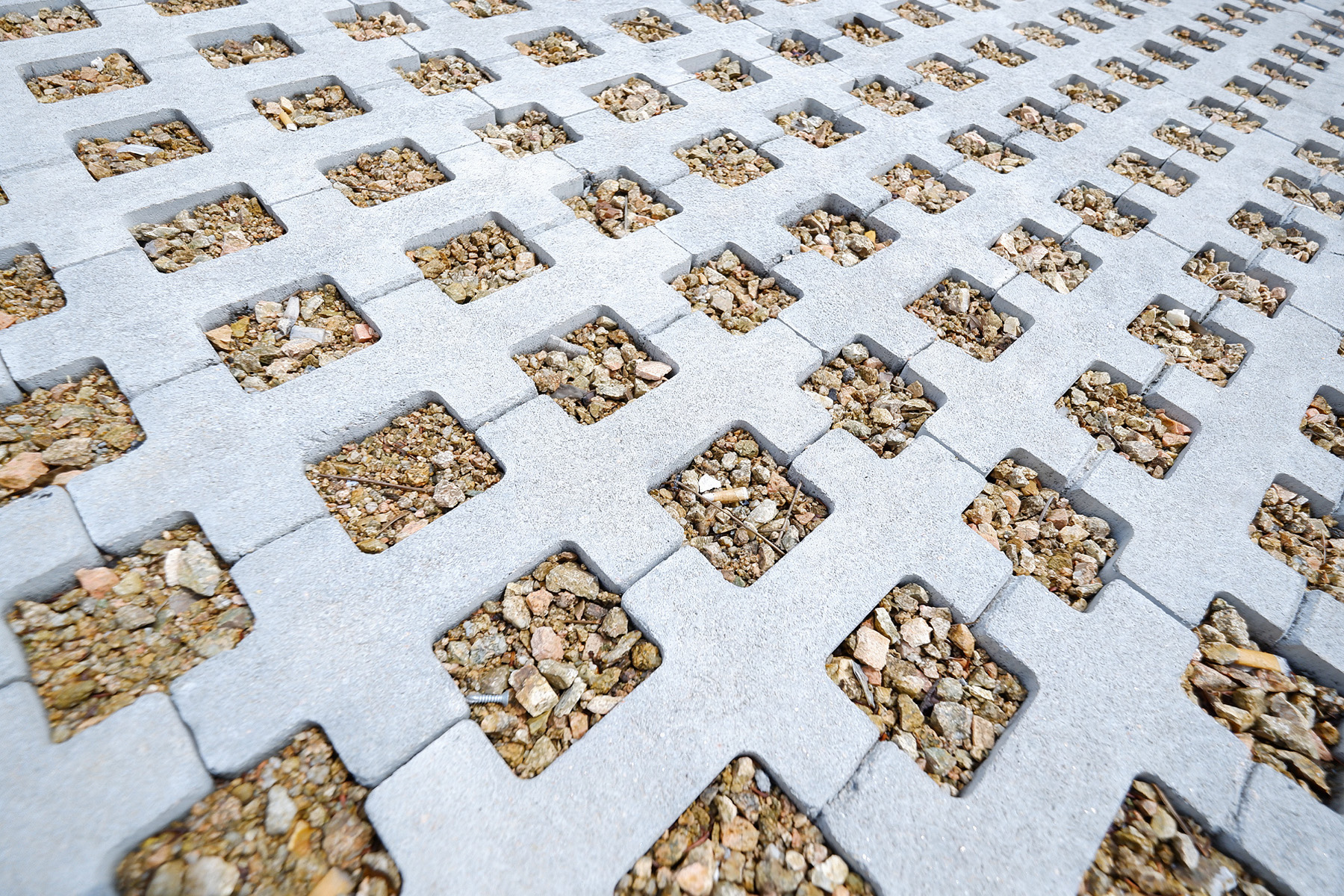 llosa-trama-entrada-aldi-girona-detail