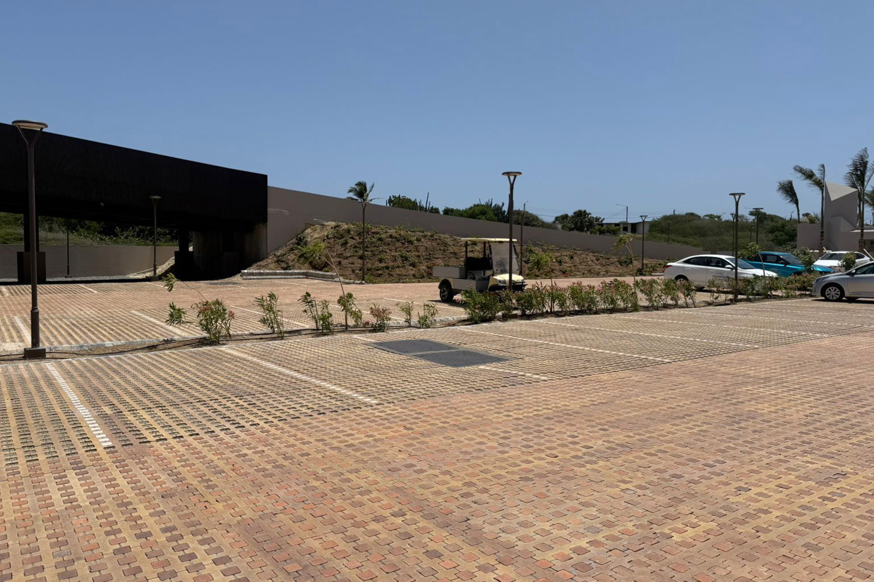 llosa-trama-taco-hotel-aruba-breinco