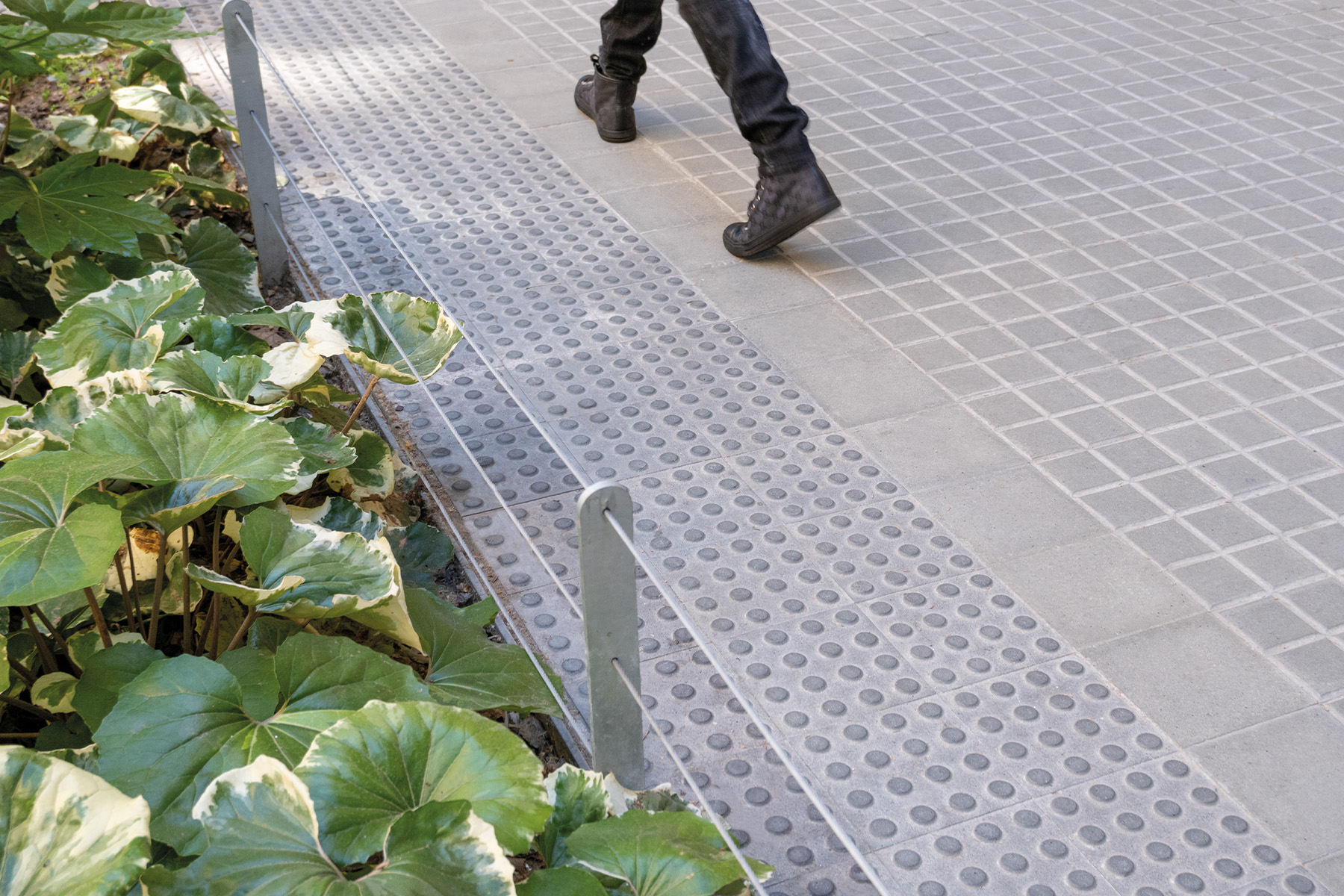 panot-4-pastilles-consell-de-cent-passeig-de-gracia-breinco