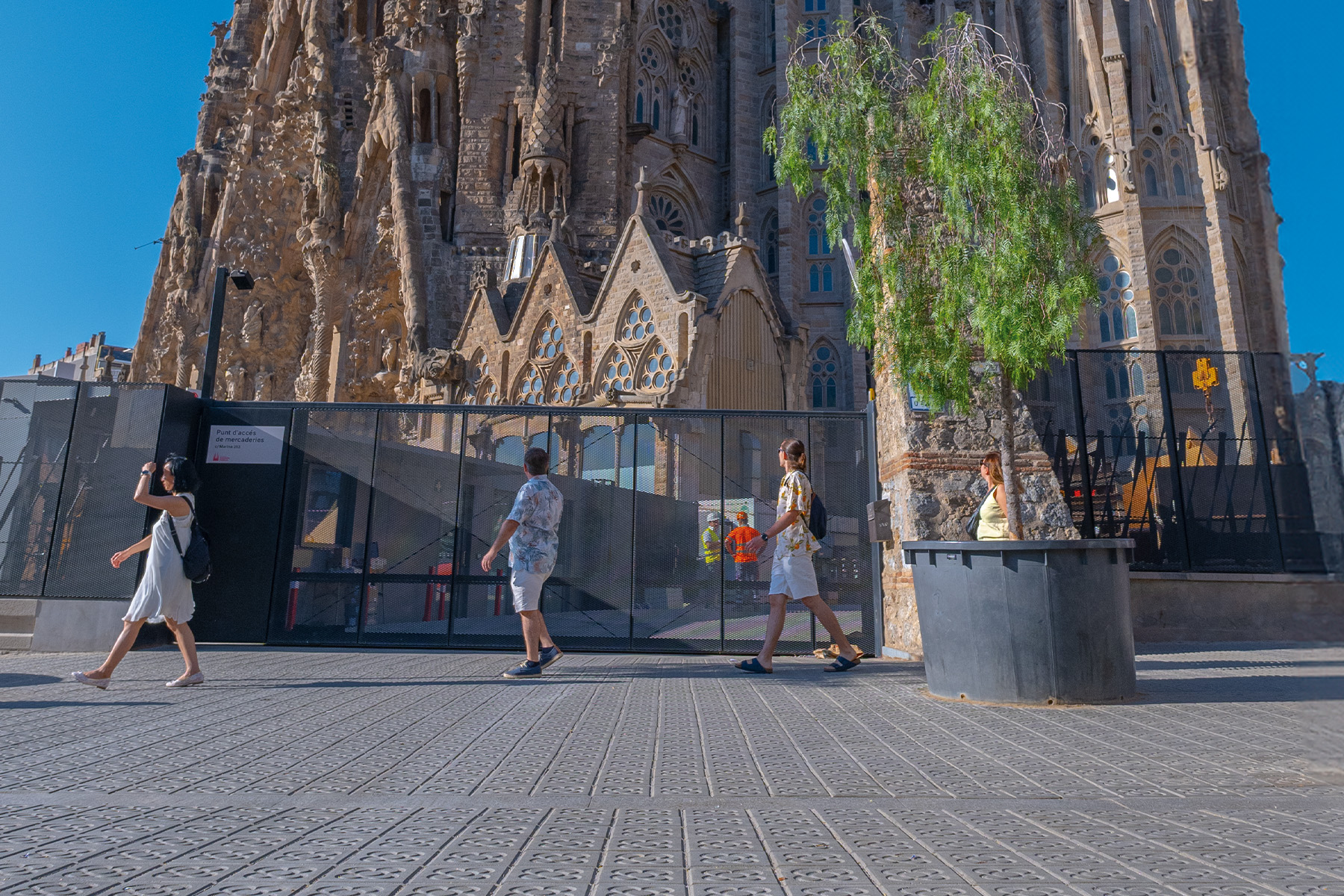 panot-flor-grey-sagrada-familia-barcelona
