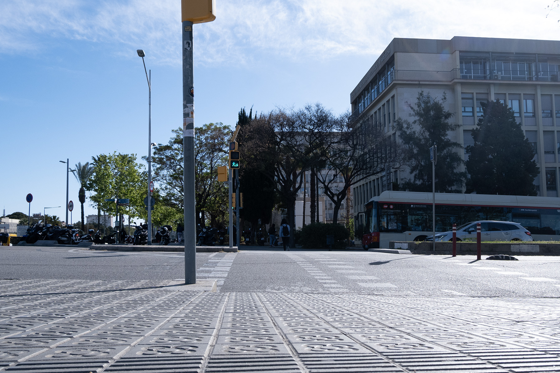 panot-flor-upc-barceloneta-tech