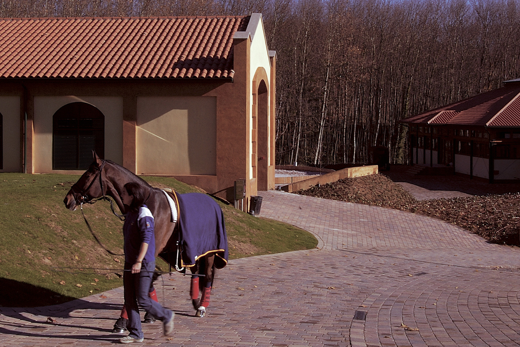 tegula-art-mediterraneo-hipica-gulaba-brienco