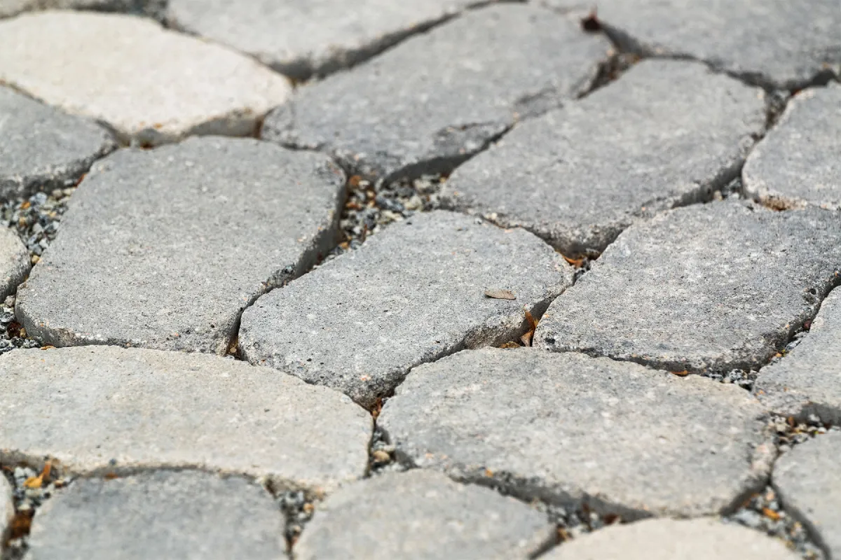 arena-tegula-galeria-1