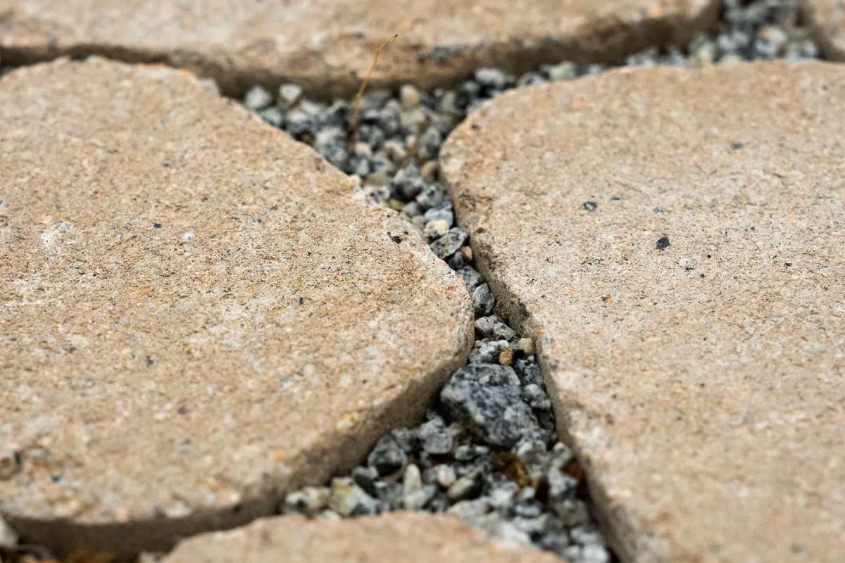 arena-tegula-galeria-2