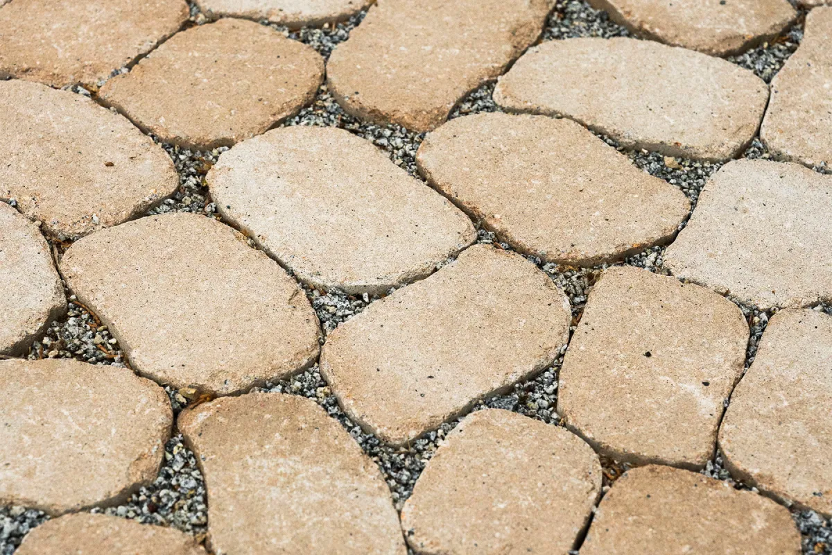 arena-tegula-galeria-4